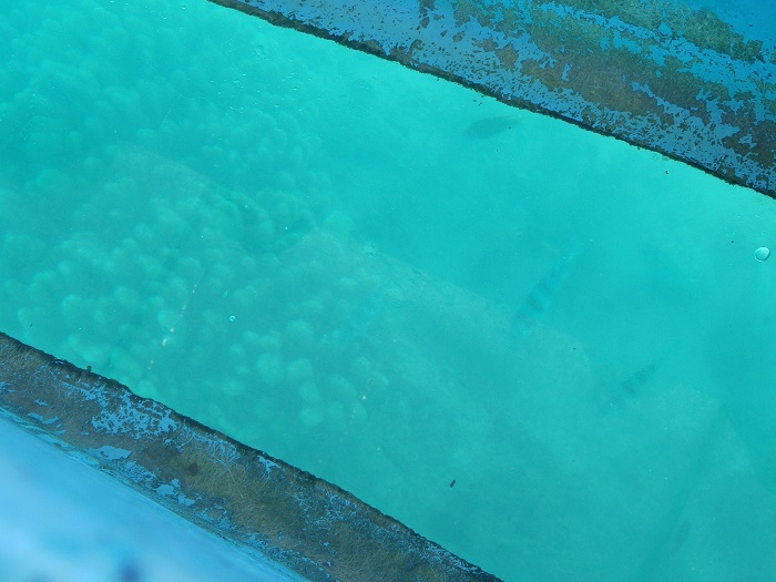 f0238779_177313.jpg