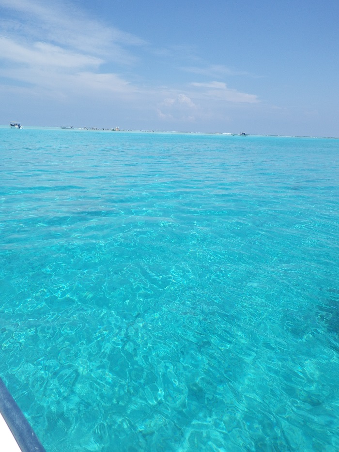 f0238779_1794267.jpg