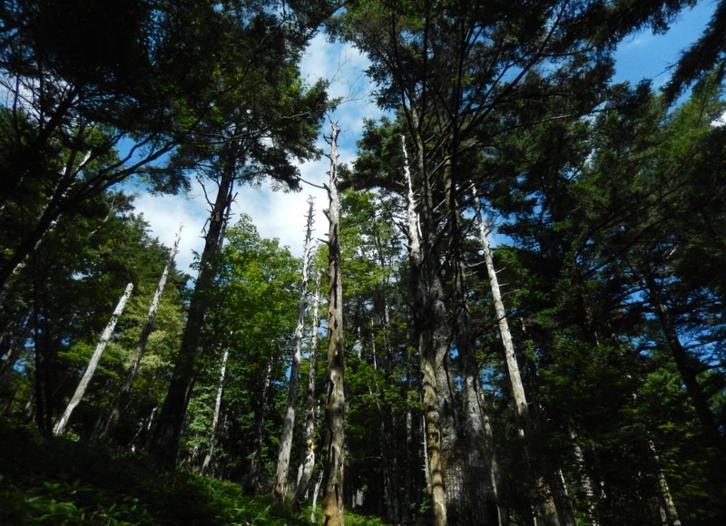 c0144185_19541035.jpg
