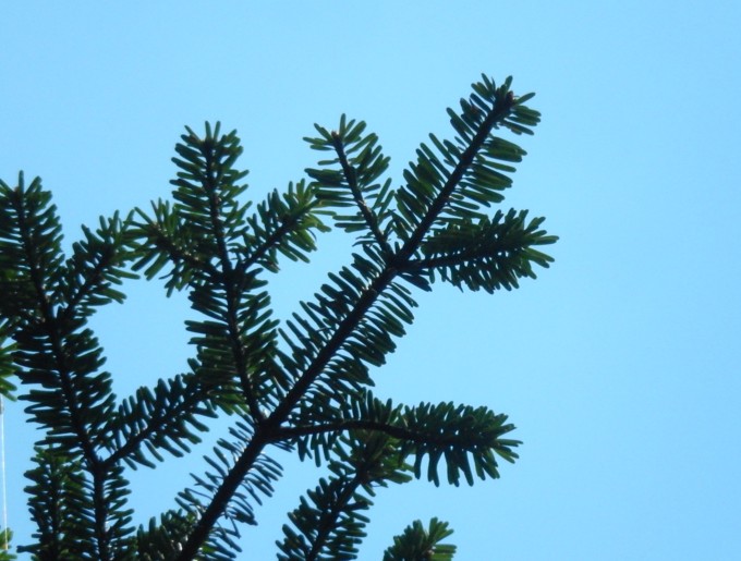 c0144185_2010278.jpg
