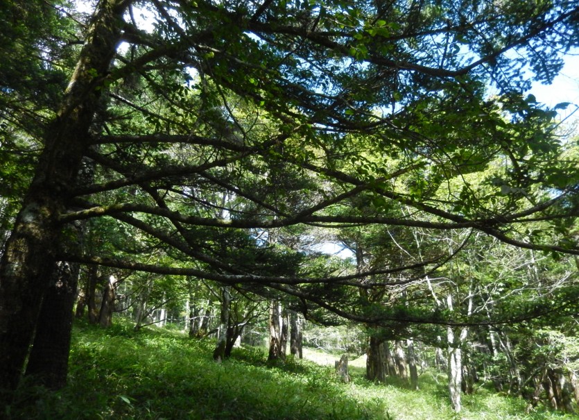 c0144185_20132168.jpg