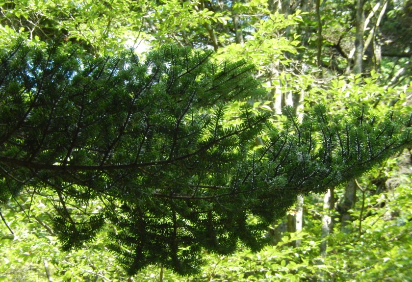 c0144185_20304322.jpg