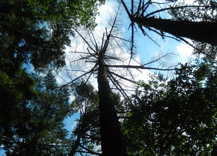 c0144185_20313784.jpg