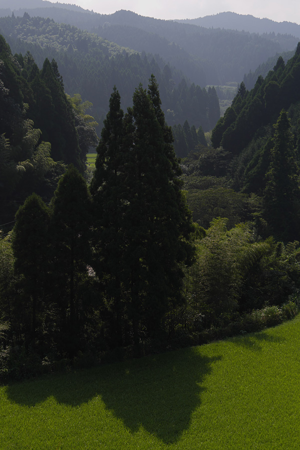 16.08.15：中高年四人組が行く、真夏の漁港から七山へ７  _c0007190_19355140.jpg