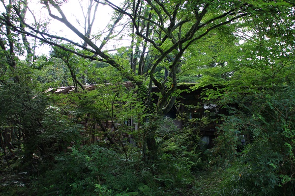 e0177190_20594447.jpg