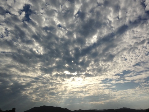 d0157497_23355139.jpeg