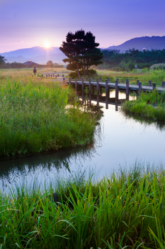 新潟県周遊_d0268697_07313251.jpg