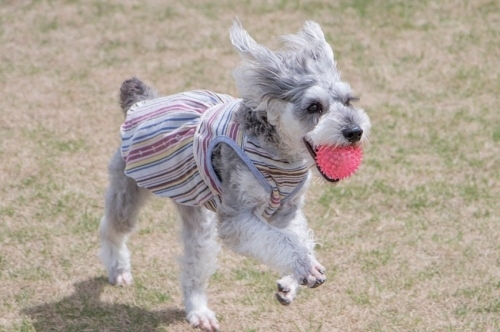 b0188998_20114708.jpeg