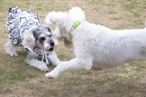 b0188998_20123171.jpeg