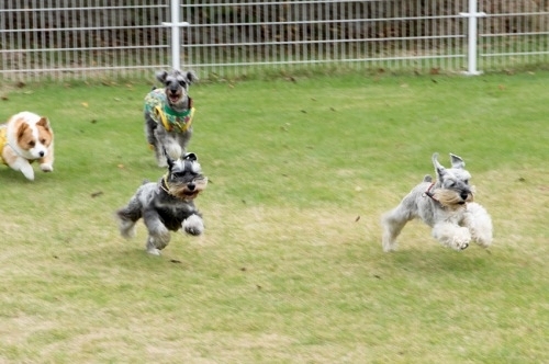 b0188998_20133146.jpeg