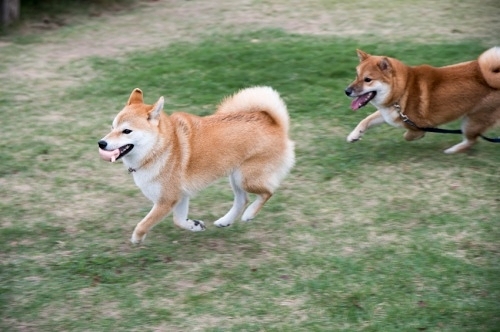 b0188998_20142543.jpeg