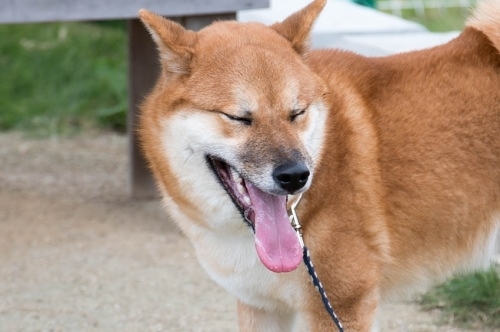 b0188998_20143380.jpeg