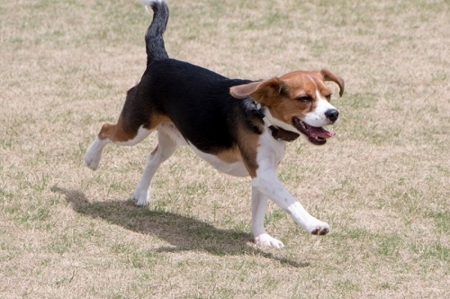 b0188998_20145248.jpeg