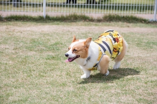 b0188998_20151062.jpeg
