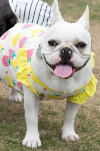 b0188998_20153599.jpeg