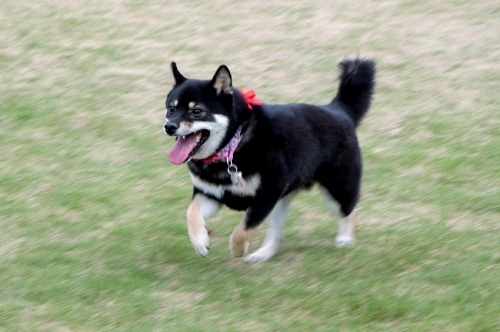 b0188998_20154907.jpeg