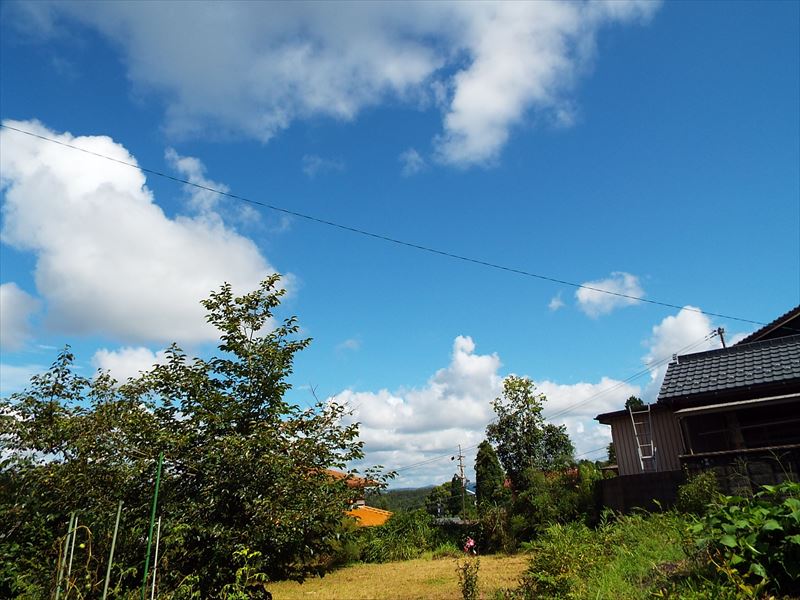 c0108198_16331349.jpg