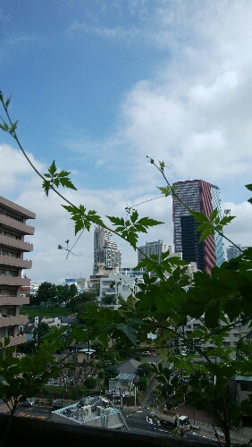尊厳_c0161301_9584223.jpg