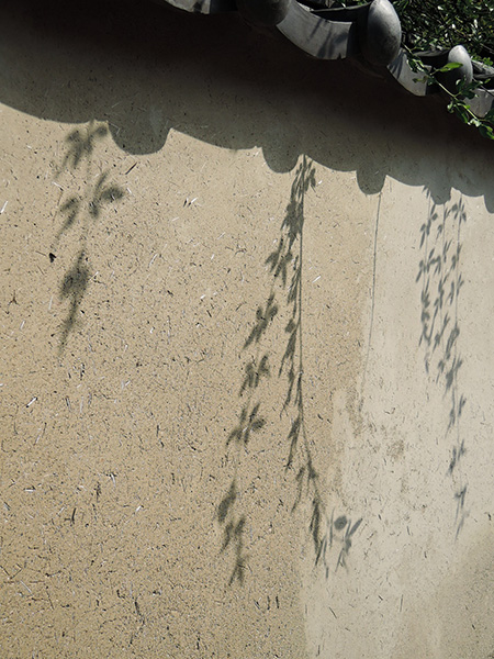 d0168406_1612871.jpg