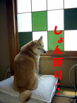 e0131506_7235743.jpg