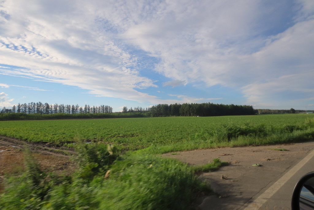 f0224506_21222405.jpg