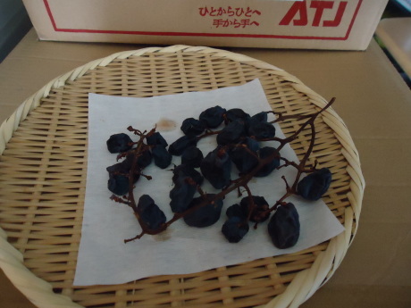 b0182709_13105861.jpg