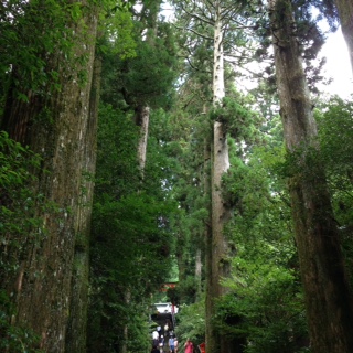 c0152816_16453422.jpg