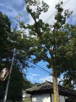 d0026822_17351397.jpg