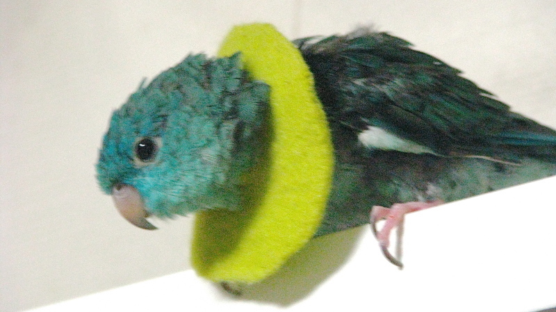 f0362822_00381379.jpg
