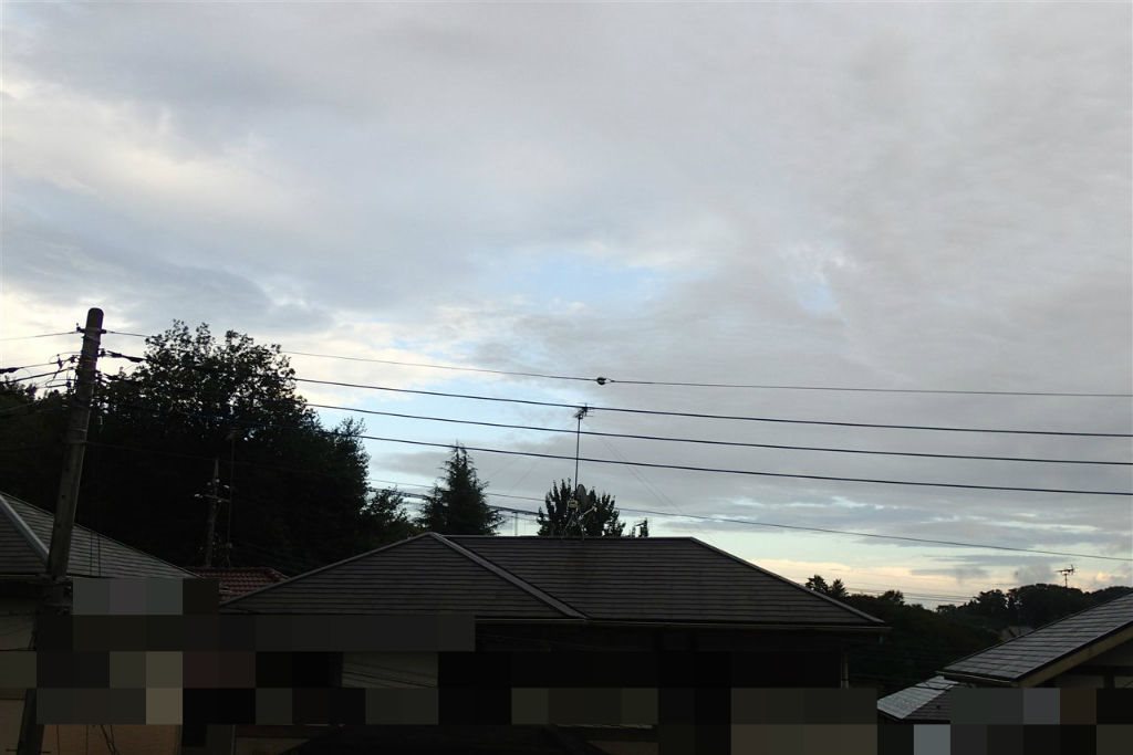 b0352223_21563984.jpg