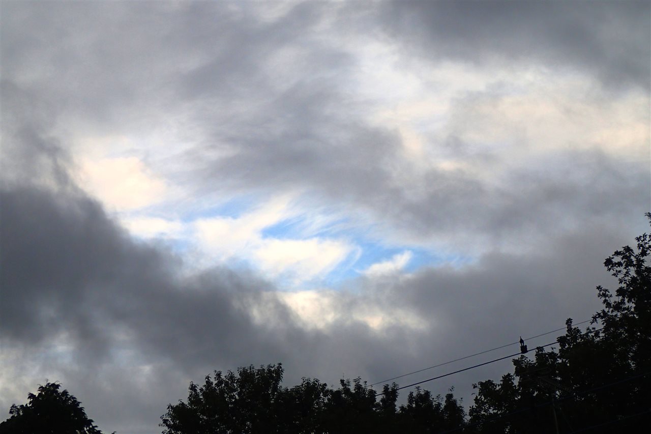 b0352223_21563993.jpg
