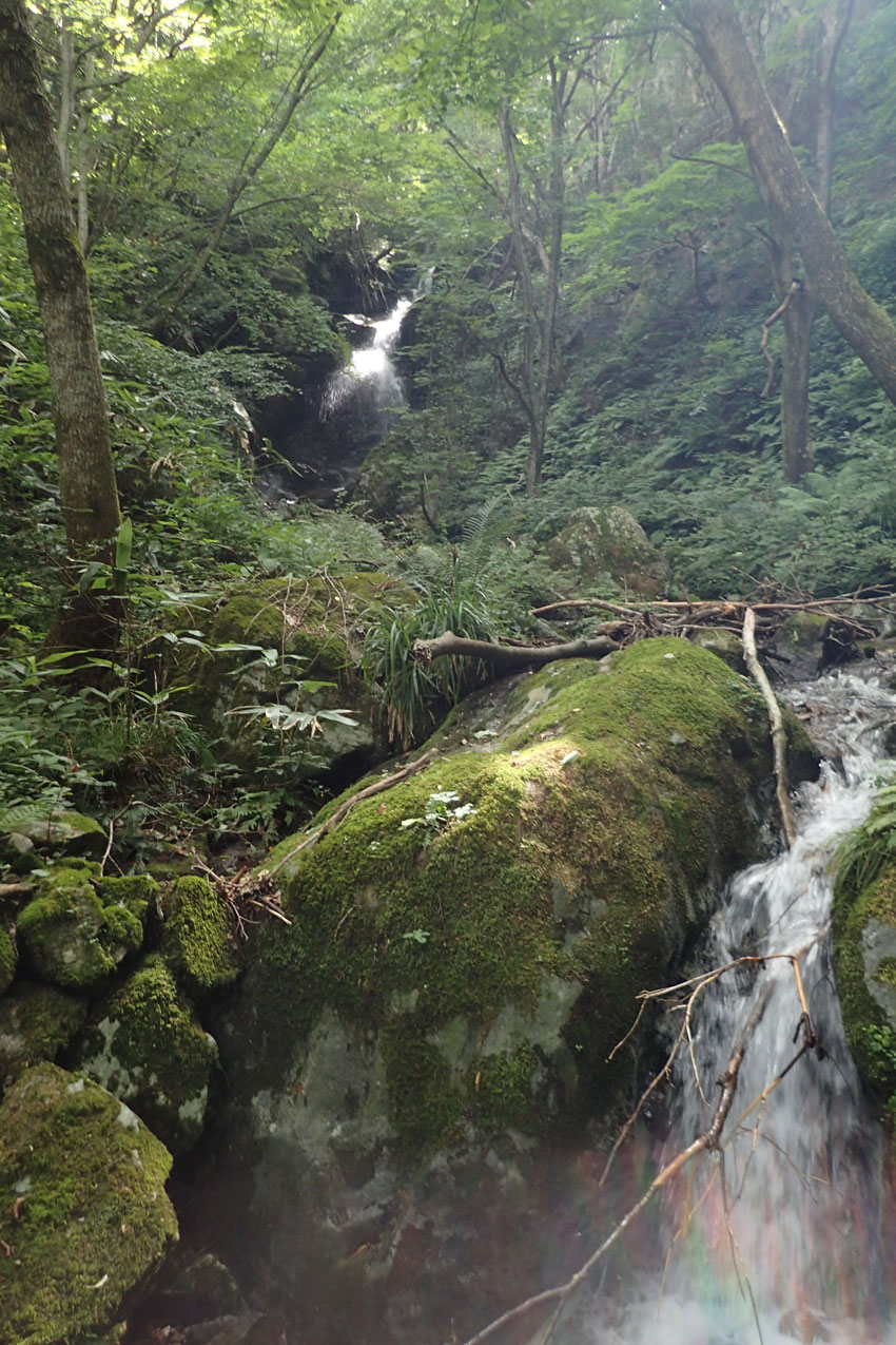 私の百名山　28/100　大万木山（島根県頓原町）_c0064025_04221.jpg