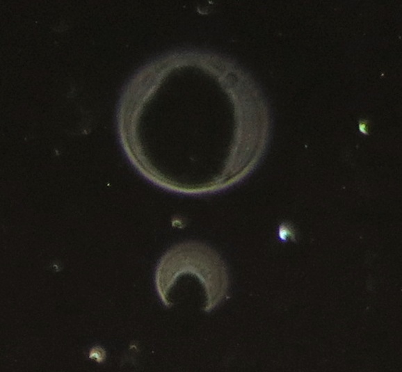 c0331825_12531520.jpg