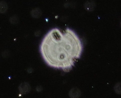c0331825_12541384.jpg