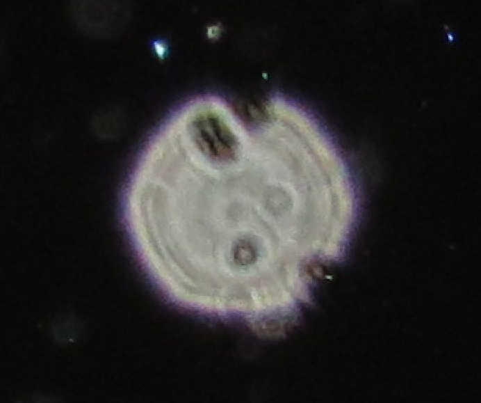 c0331825_12542319.png