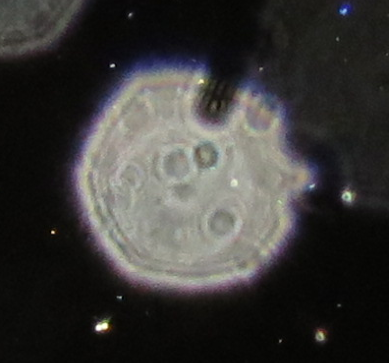 c0331825_12593510.png