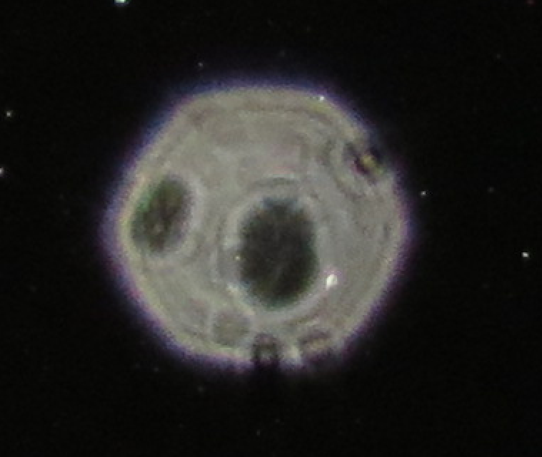 c0331825_13043211.png