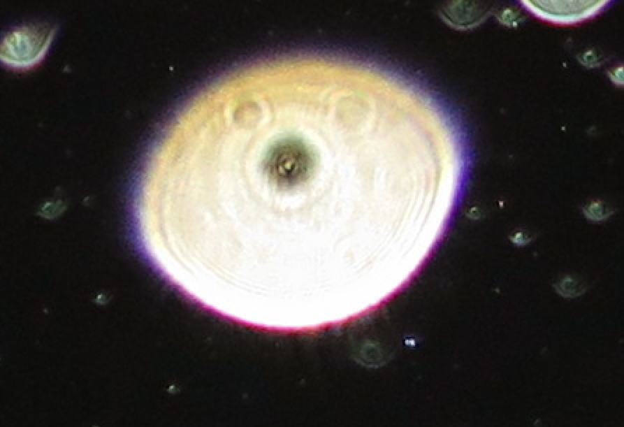 c0331825_13075663.png