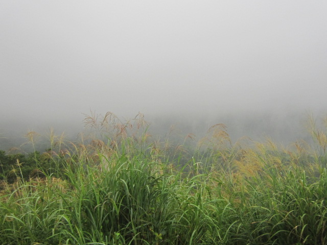 ♪夫と行く★雨の山中湖散策_d0162225_944272.jpg