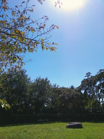 b0080027_12402400.jpg