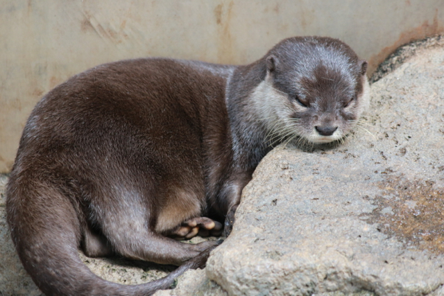 f0348831_08063200.jpg