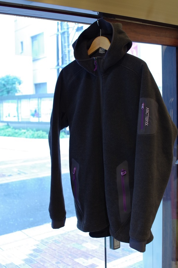 【再入荷】 アークテリクス ポーラテックフリース Lサイズ
