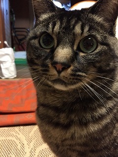 はじめまして　Ｐａｒｔ２_e0268036_14033538.jpg