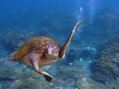 b0189640_17360111.jpg