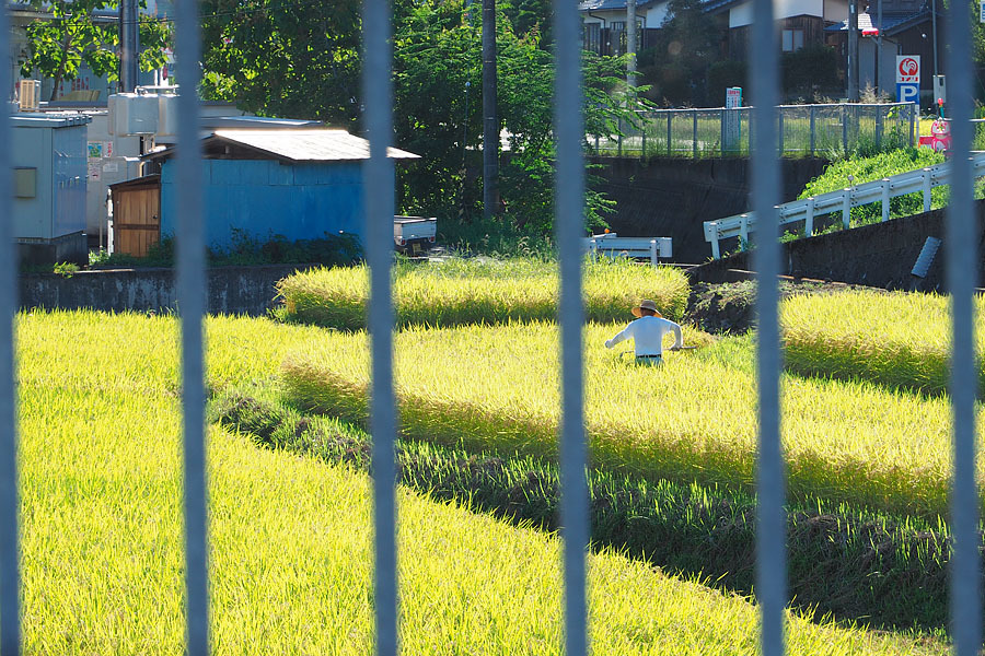 秋近し_c0067040_22410273.jpg