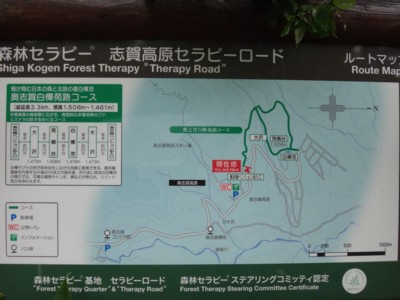 c0119142_23344779.jpg