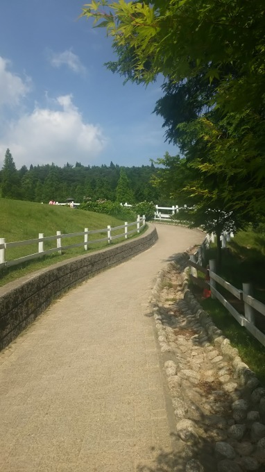 a0335043_20000029.jpg