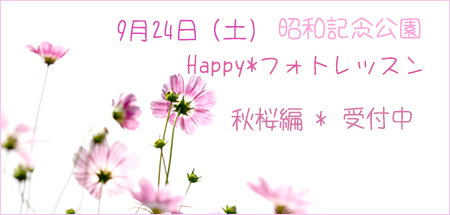 Happy *お馬さん* life_b0049843_1055221.jpg