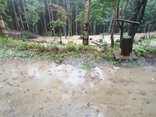 c0369344_16534359.jpeg