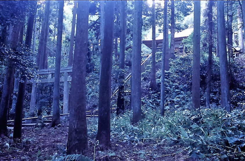 d0185744_17494188.jpg